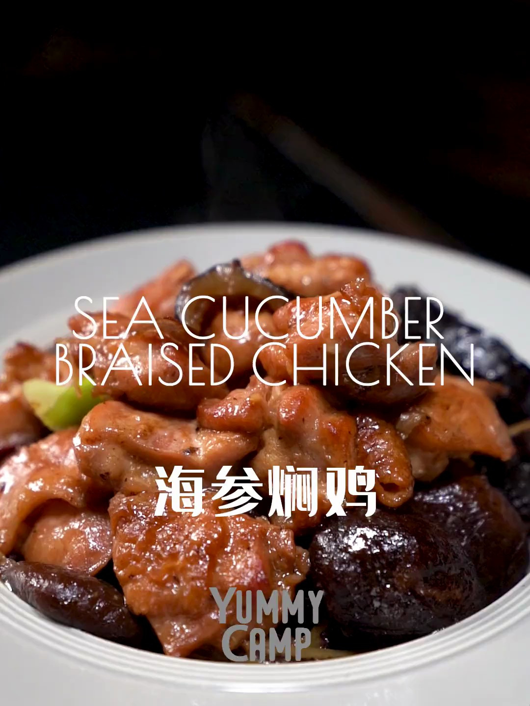 海参焖鸡 Sea Cucumber Braised Chicken