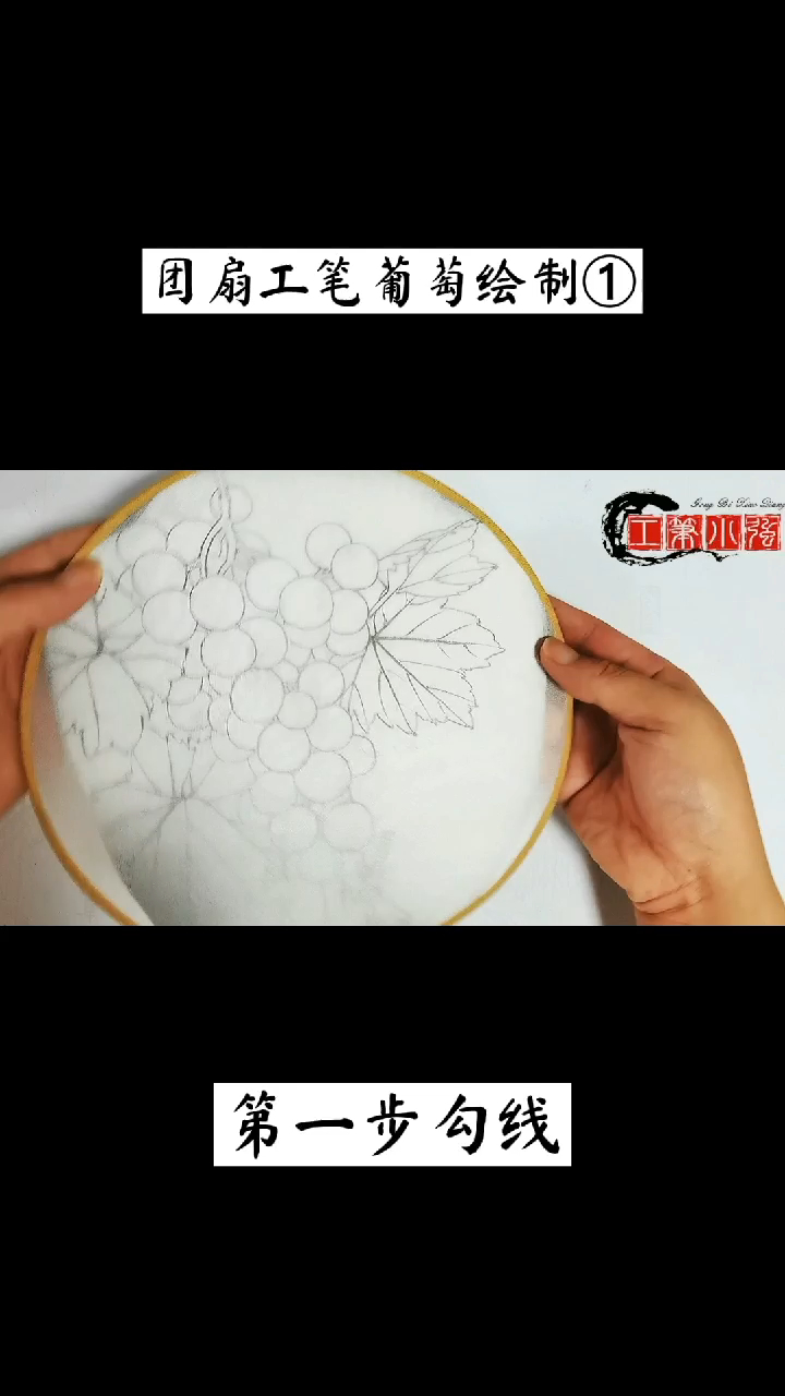 团扇:工笔葡萄绘制(第一步)