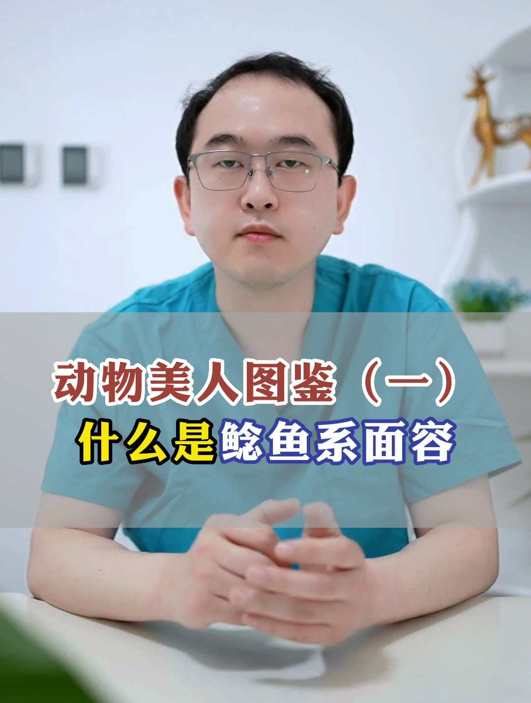 动物美人图鉴:什么是鲶鱼系面容?