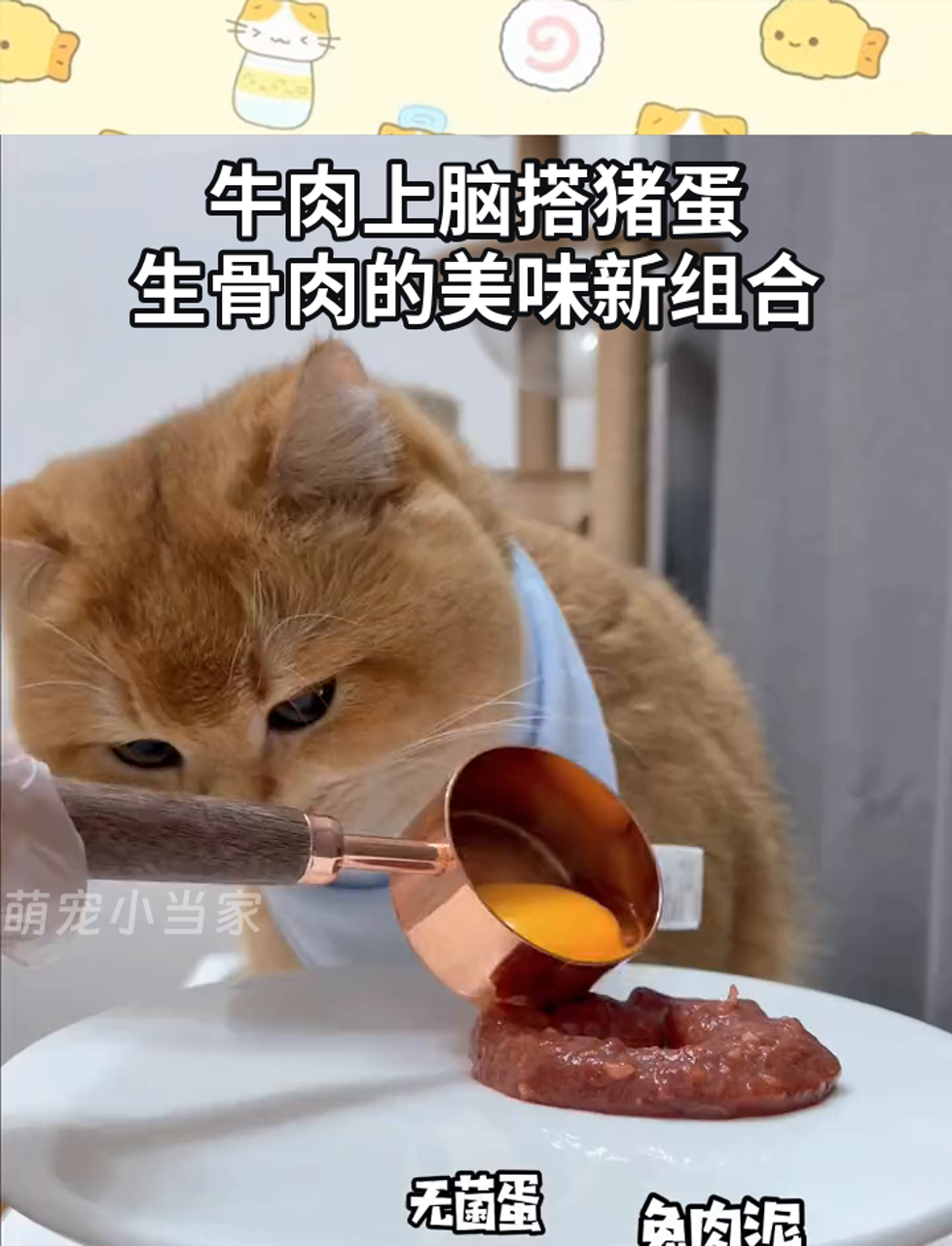 牛肉上脑搭猪蛋,生骨肉的美味新组合