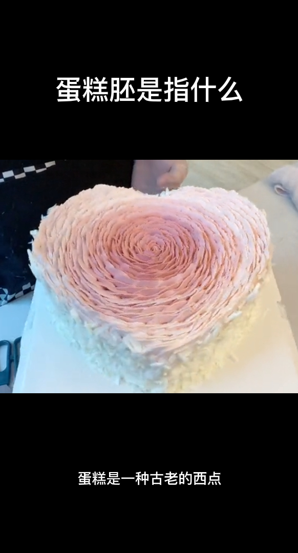 蛋糕胚是指什么