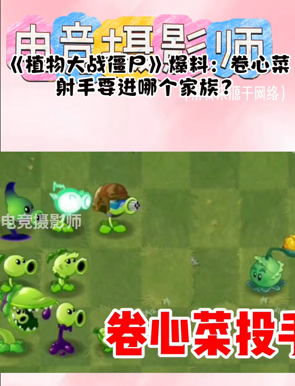 《植物大战僵尸》爆料:卷心菜射手要进哪个家族?