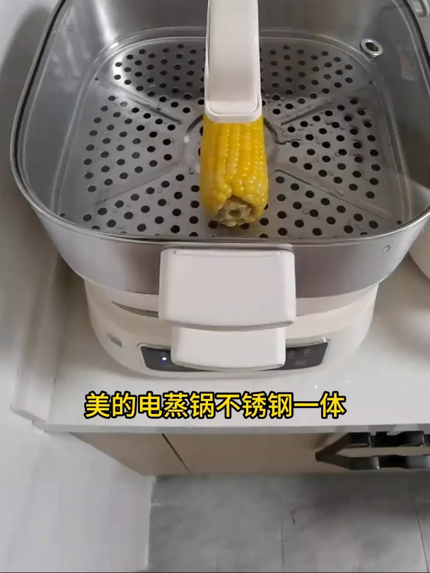 美的(Midea)电蒸锅炖蒸煮一体304不锈钢家用多功能电煮锅