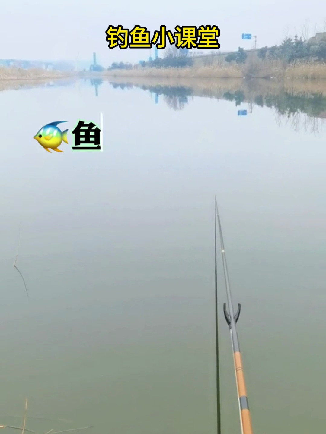 不同品种的鱼爱吃啥,你都知道吗?