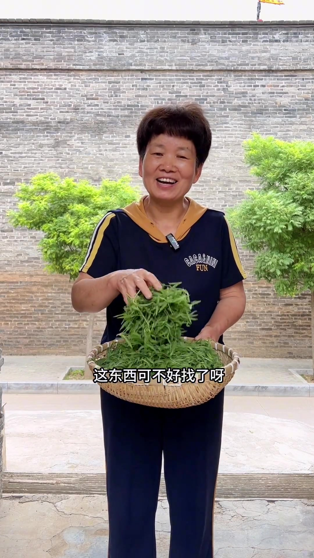 你们都有多久没吃过扫帚菜了