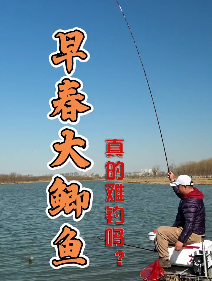大鲫鱼真的难钓吗?