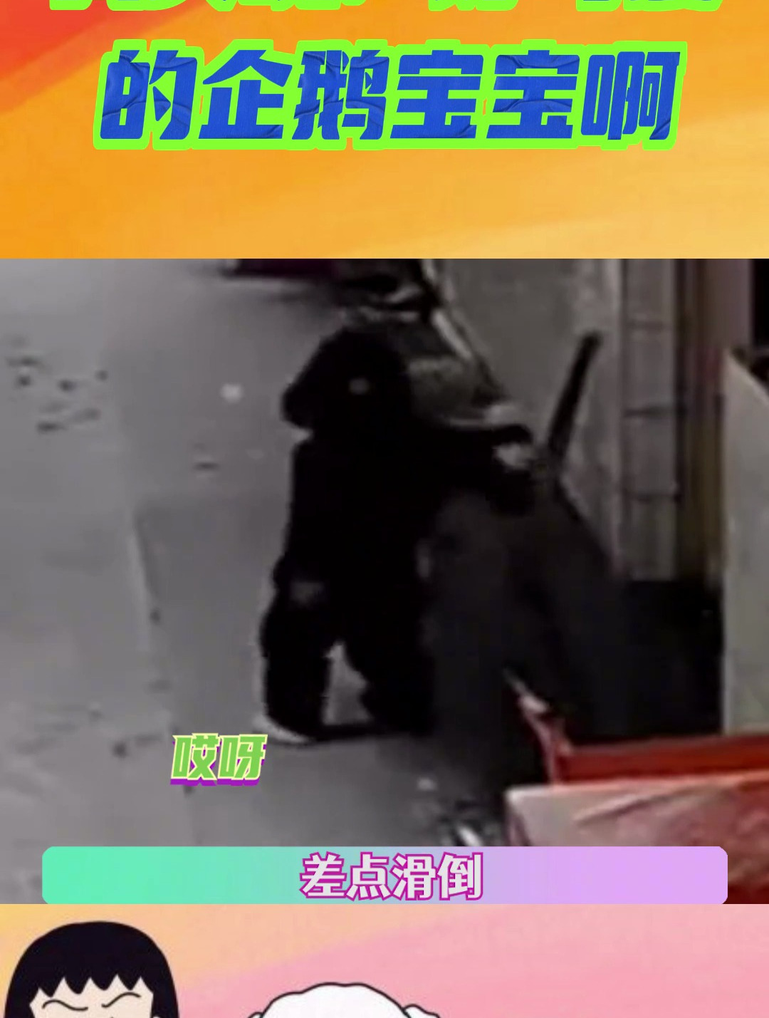 我天呢!好可爱的企鹅宝宝啊