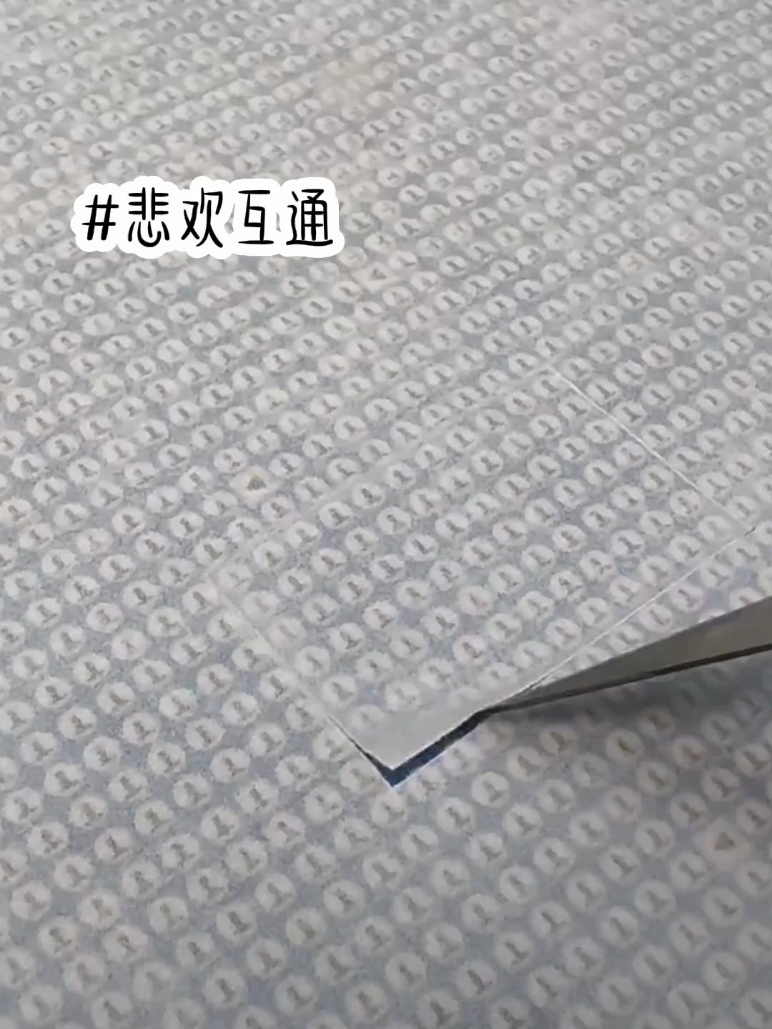 小说;前世,妹妹嫁给了富可敌国的人鱼
