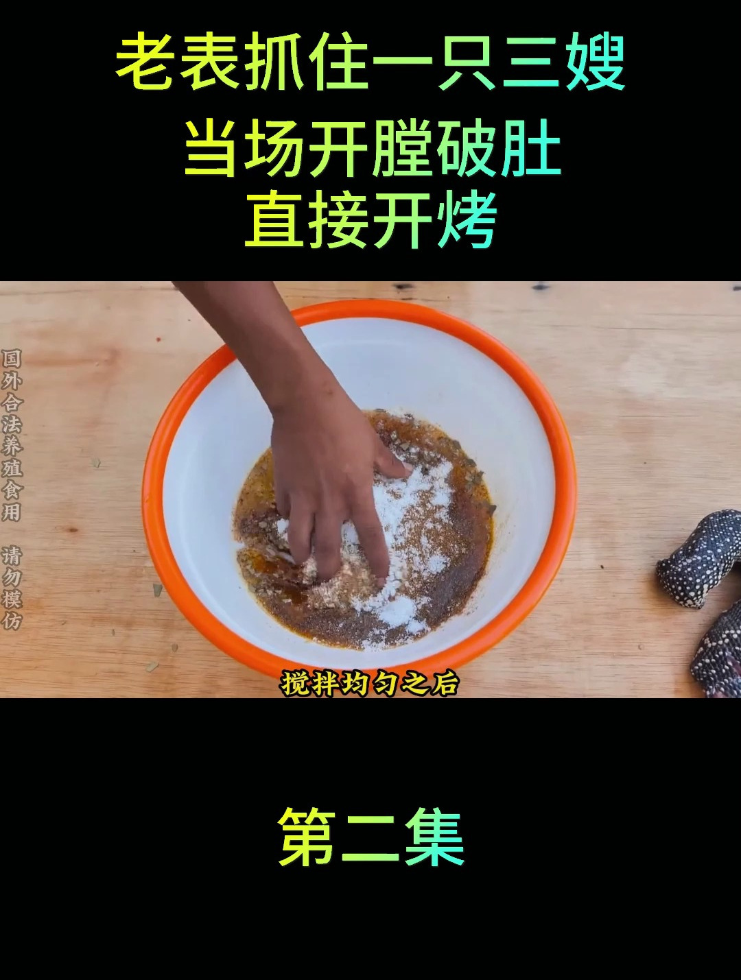 老表抓住一只三嫂,当场开膛破肚,直接开烤