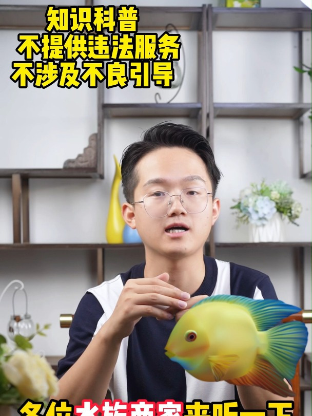 快手开通观赏鱼店铺