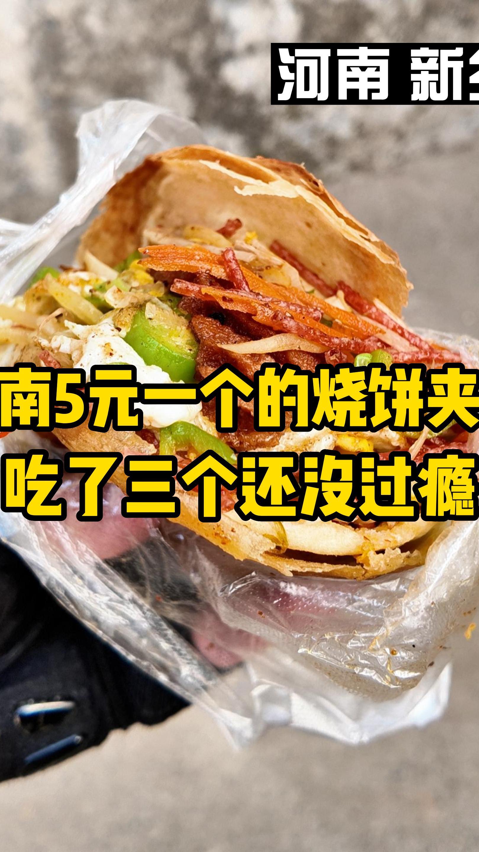 河南5元一个的烧饼夹菜,超出预期的好吃,老板说烧饼排新乡第一