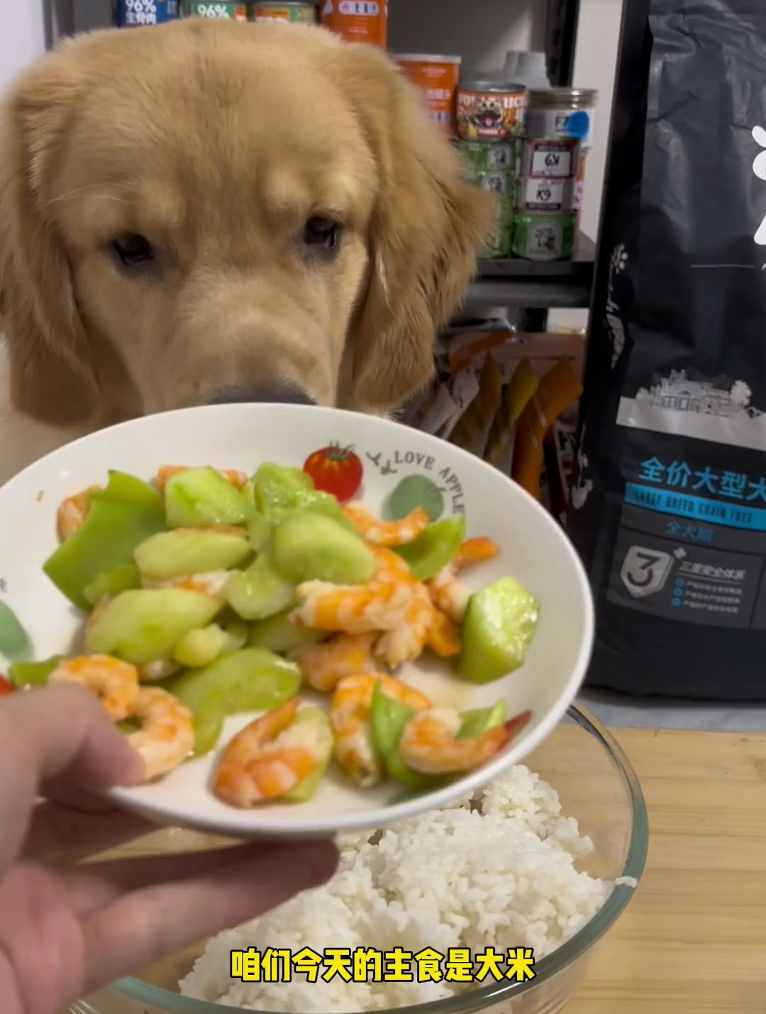 今天是吃剩菜剩饭的狗狗