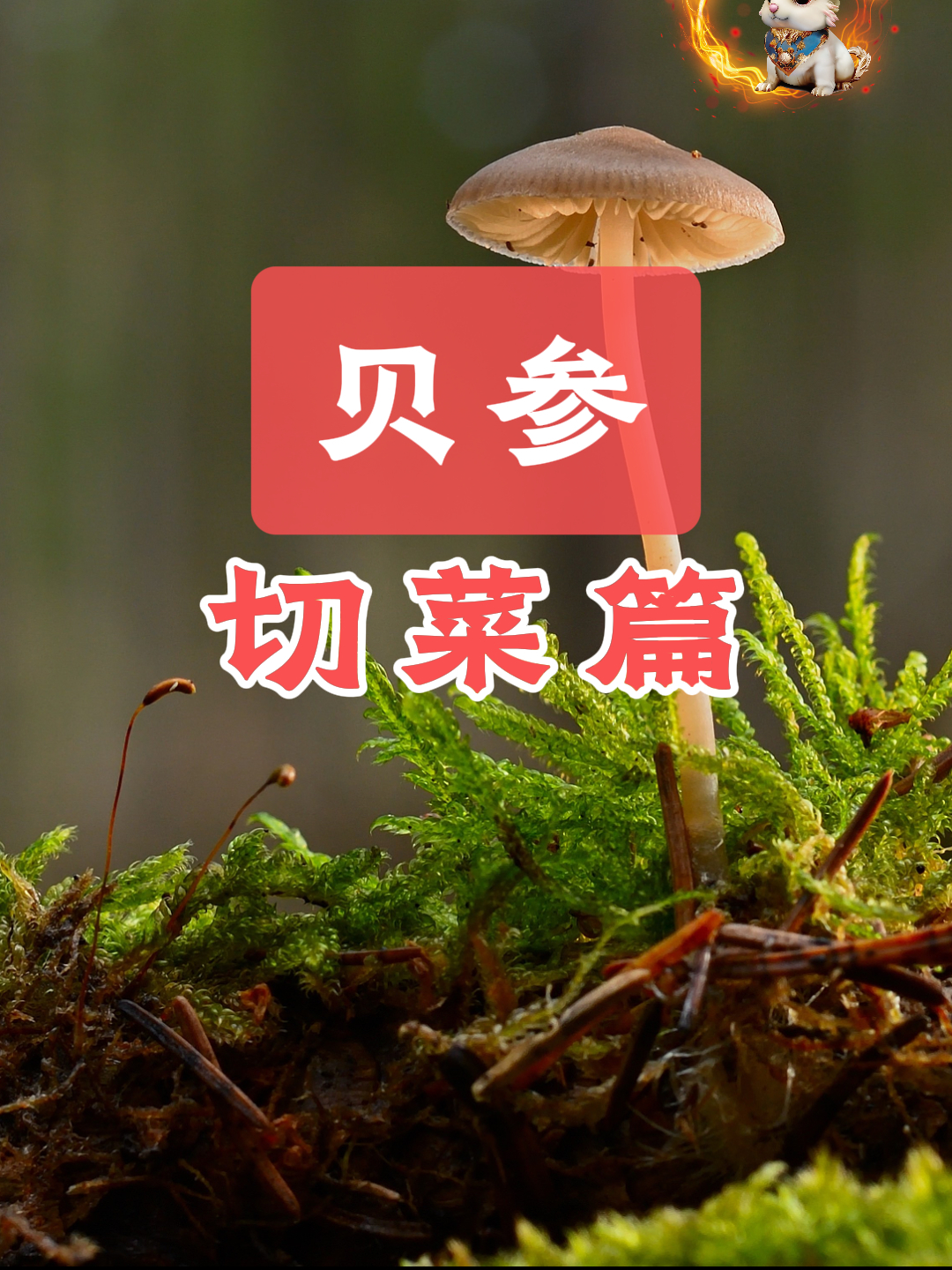 米其林大厨的切菜方法,你知道几个?