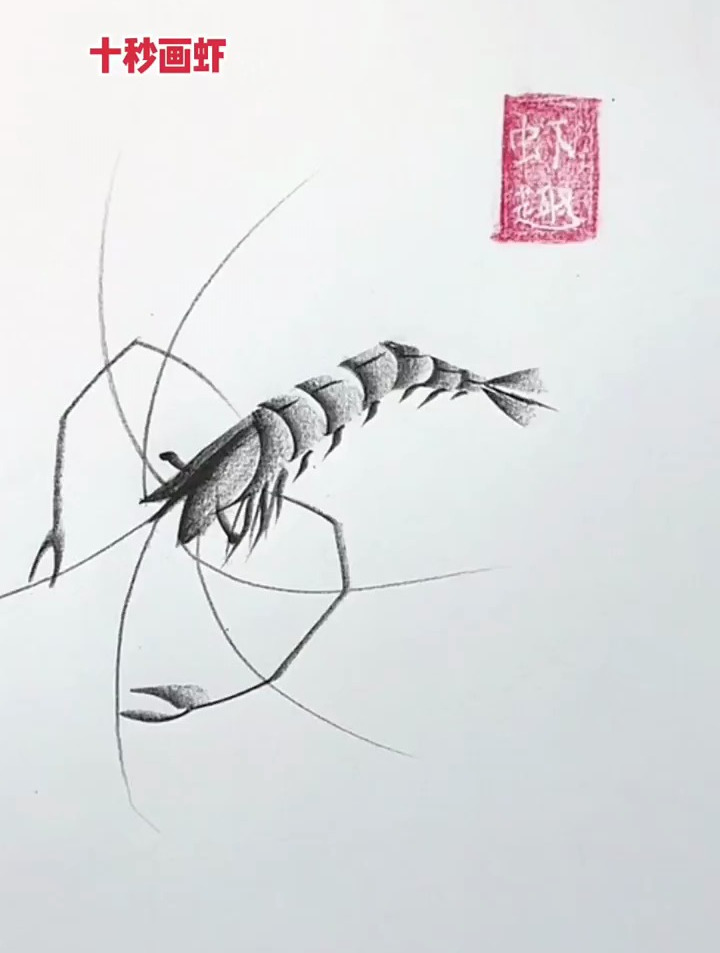 十秒教你简单画虾,一起学画画,炭笔画