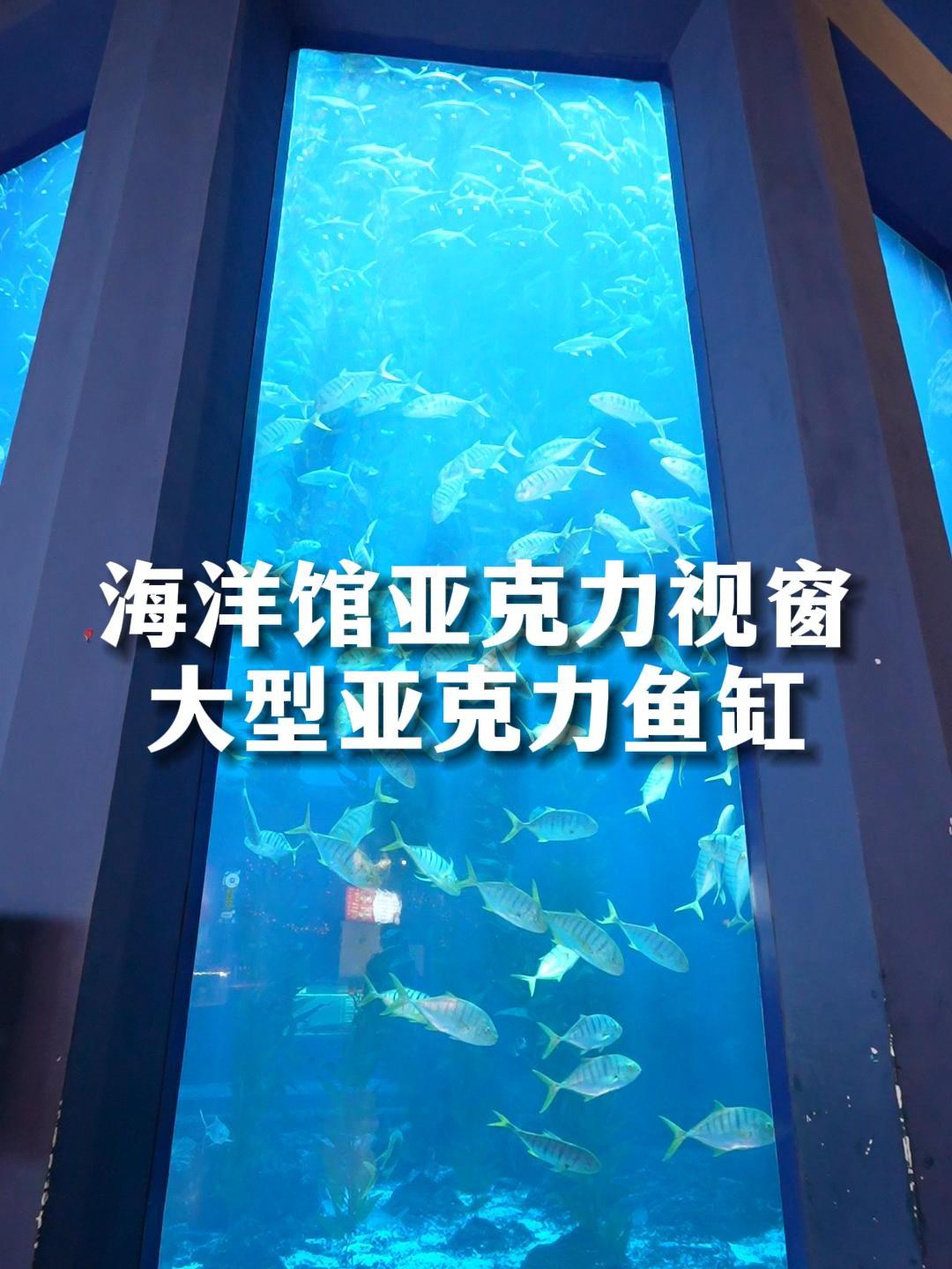 海洋馆大型亚克力鱼缸,感受海洋的脉动
