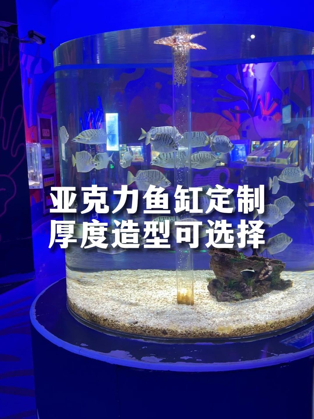 亚克力鱼缸可定制形状和尺寸,满足不同需求
