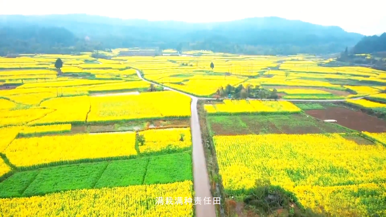 [图]平凡微光 照亮前方