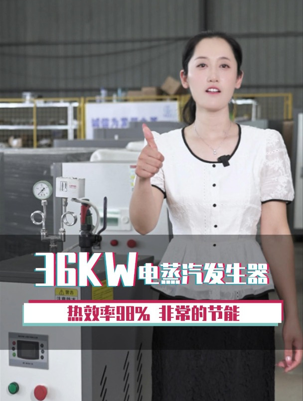 今天给大家推荐一款36千瓦的电蒸汽发生器!