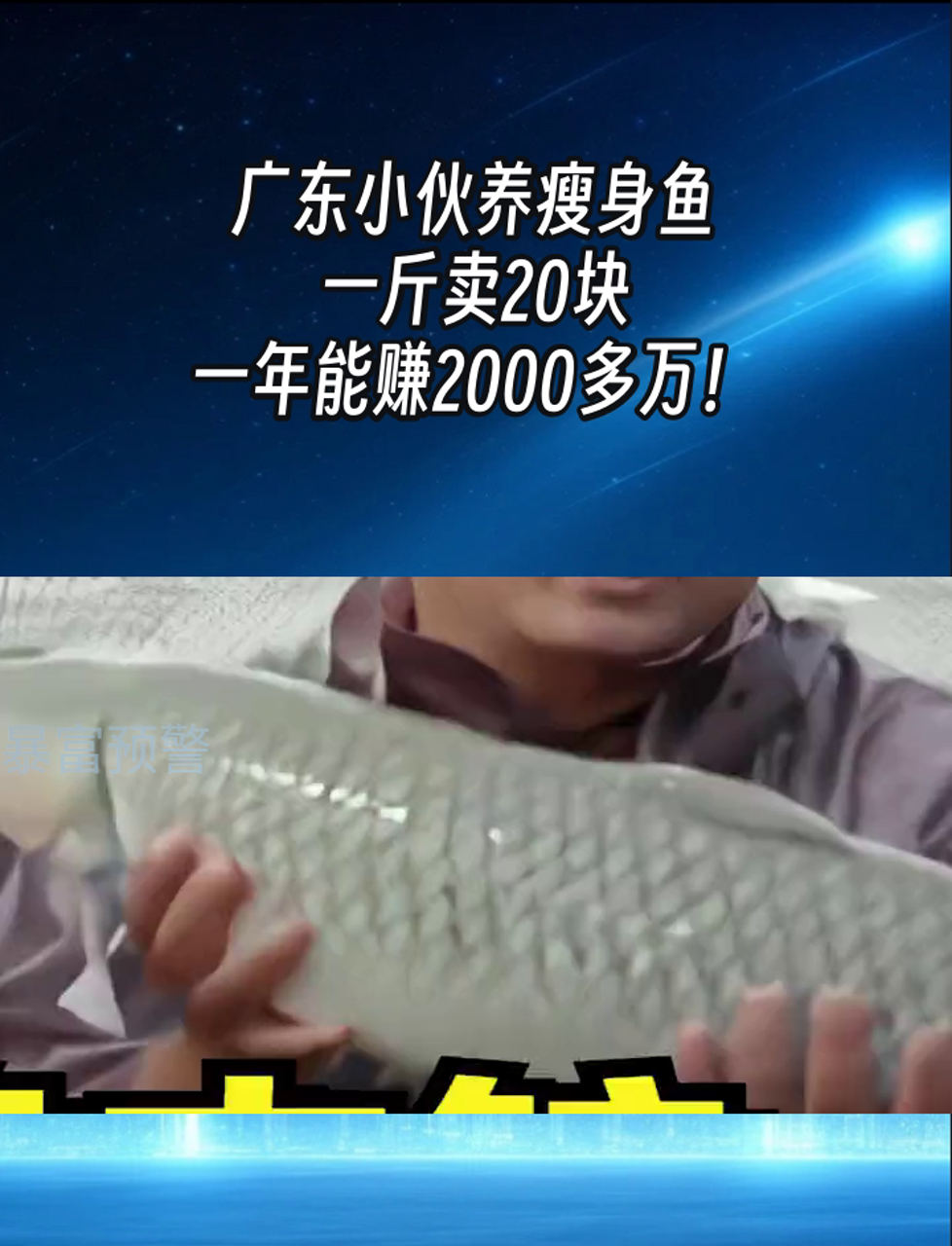 广东小伙养瘦身鱼,一斤卖20块,一年能赚2000多万!