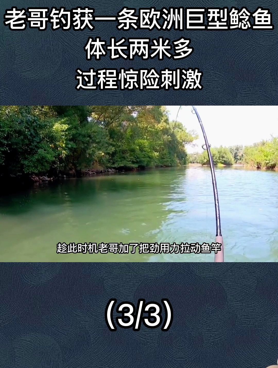 老哥钓获一条欧洲巨型鲶鱼,身长两米多,过程惊险又刺激3