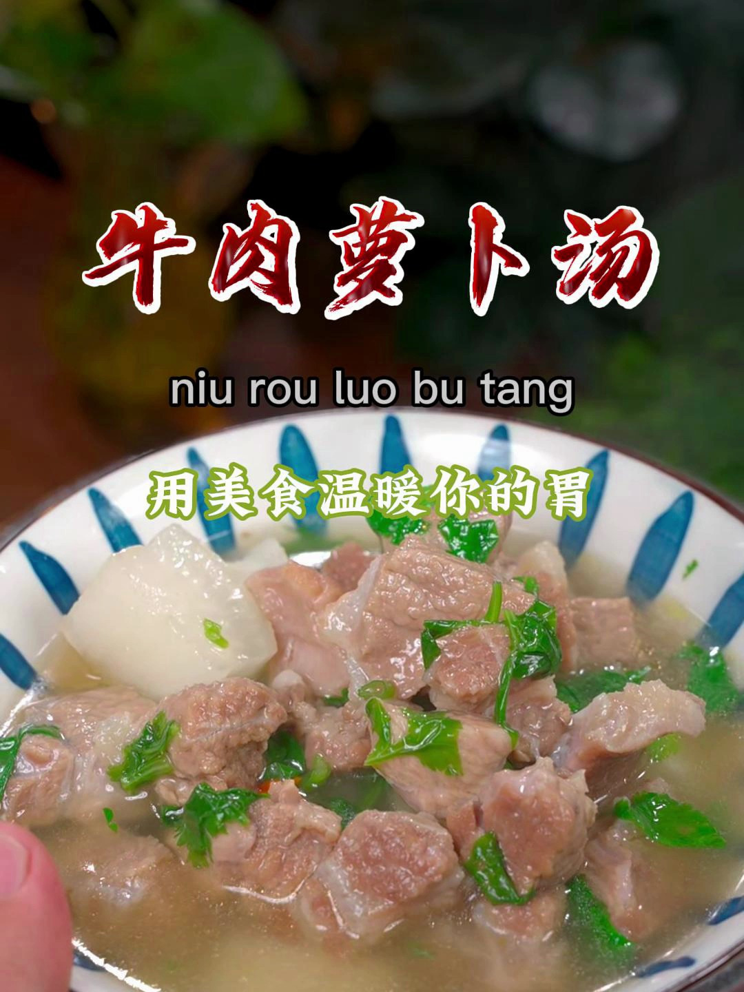 入秋转凉后要多喝这个牛肉汤,汤鲜味美,营养又好喝~ 牛肉汤