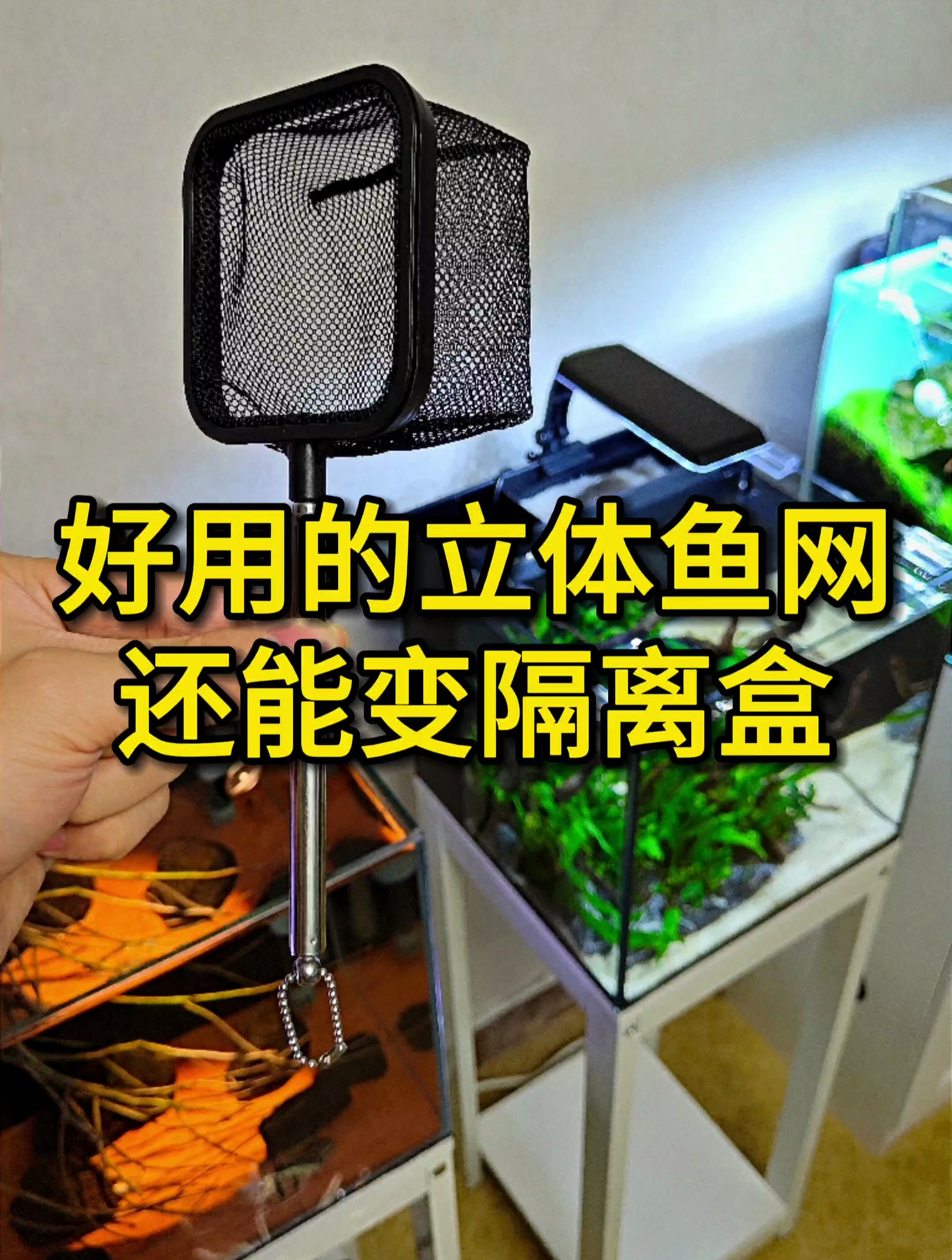 能变“隔离盒”的3D立体鱼网,还能伸缩,养鱼人的趁手工具