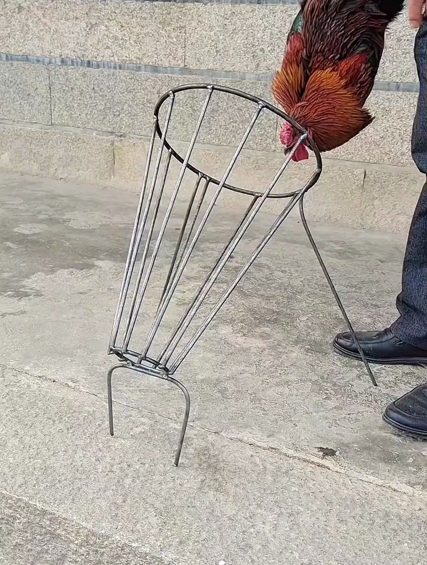 杀鸡,鸭,鹅,用杀鸡架,轻松杀