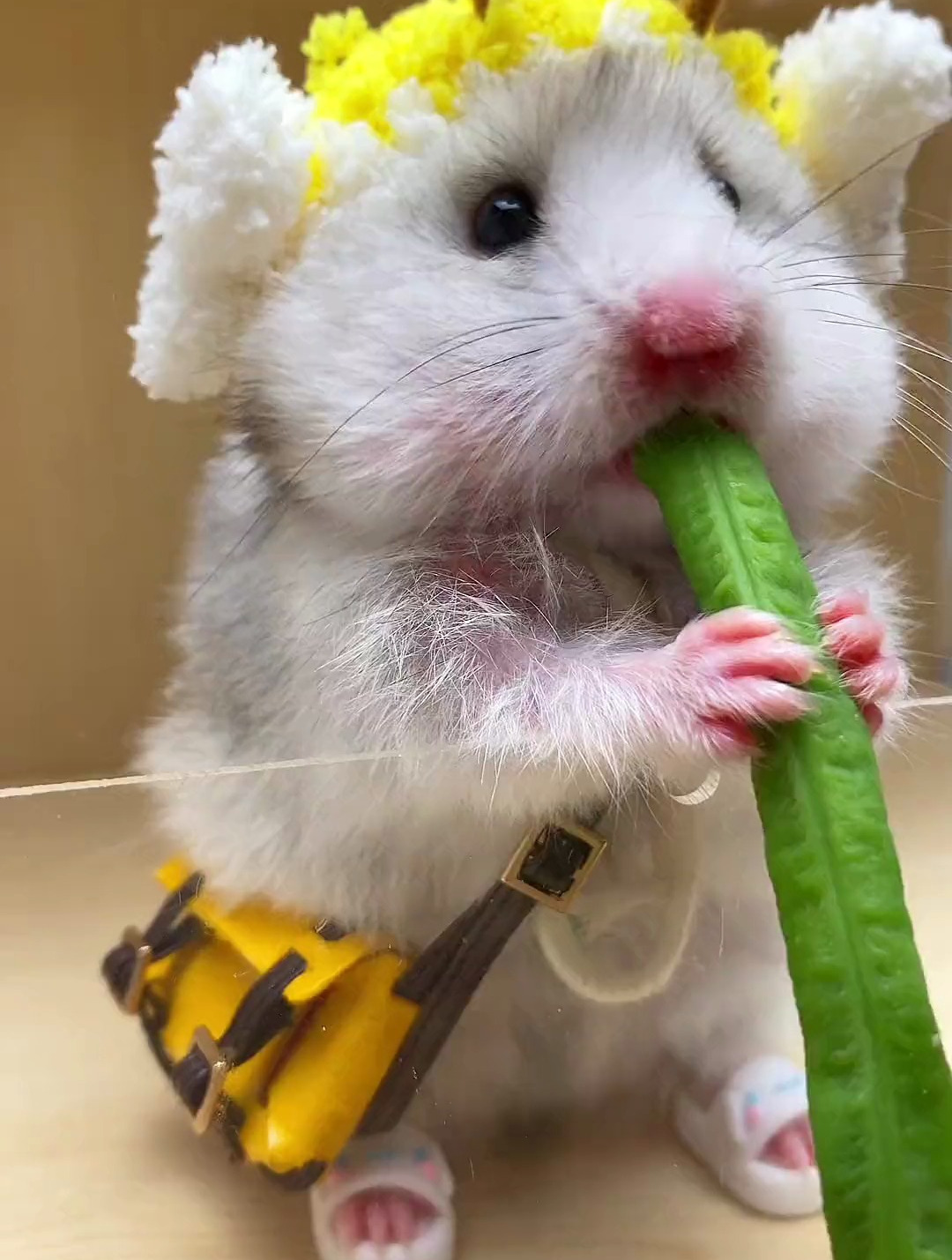 你沉浸式吃水煮豇豆豆,我沉浸式看