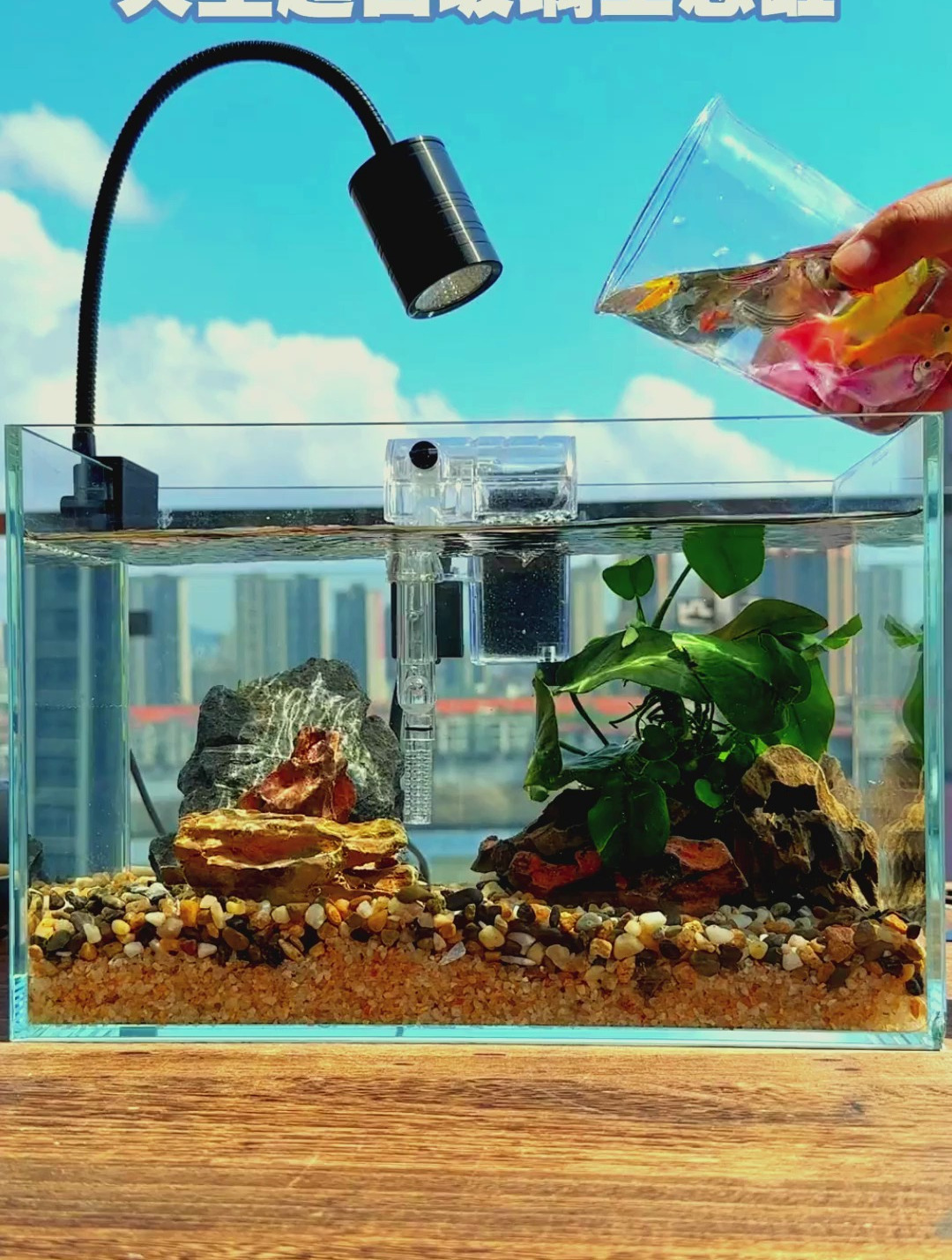 天空超白玻璃钢只要100出头?按照我的方式来打造吧!