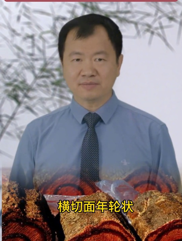 鸡血藤如何辨别优劣