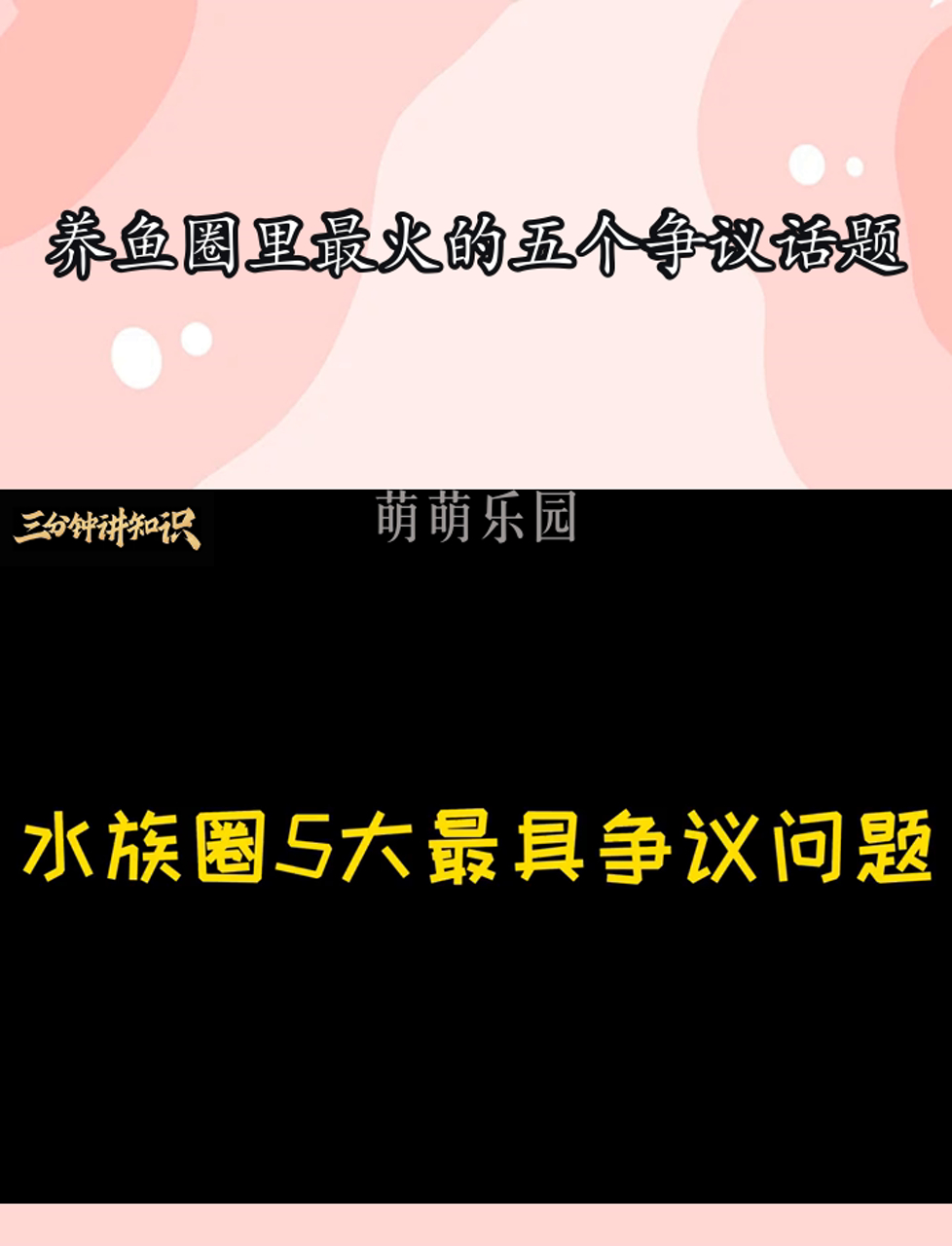 养鱼圈里最火的五个争议话题