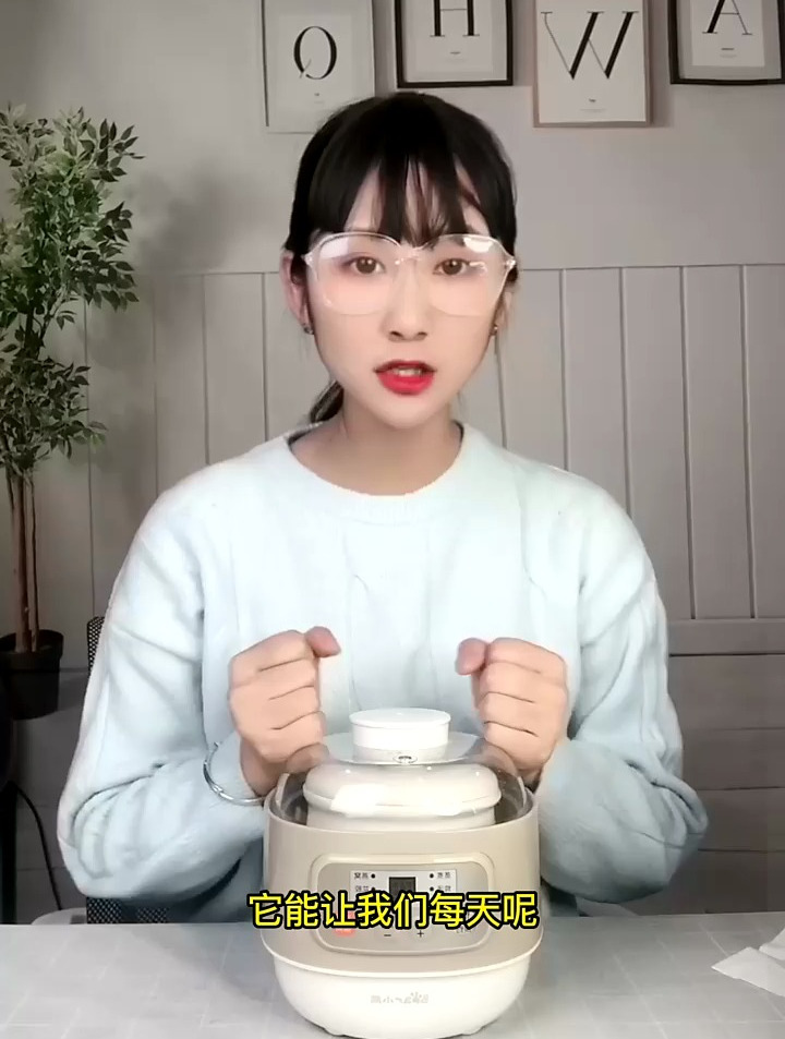 小熊(Bear)电炖锅