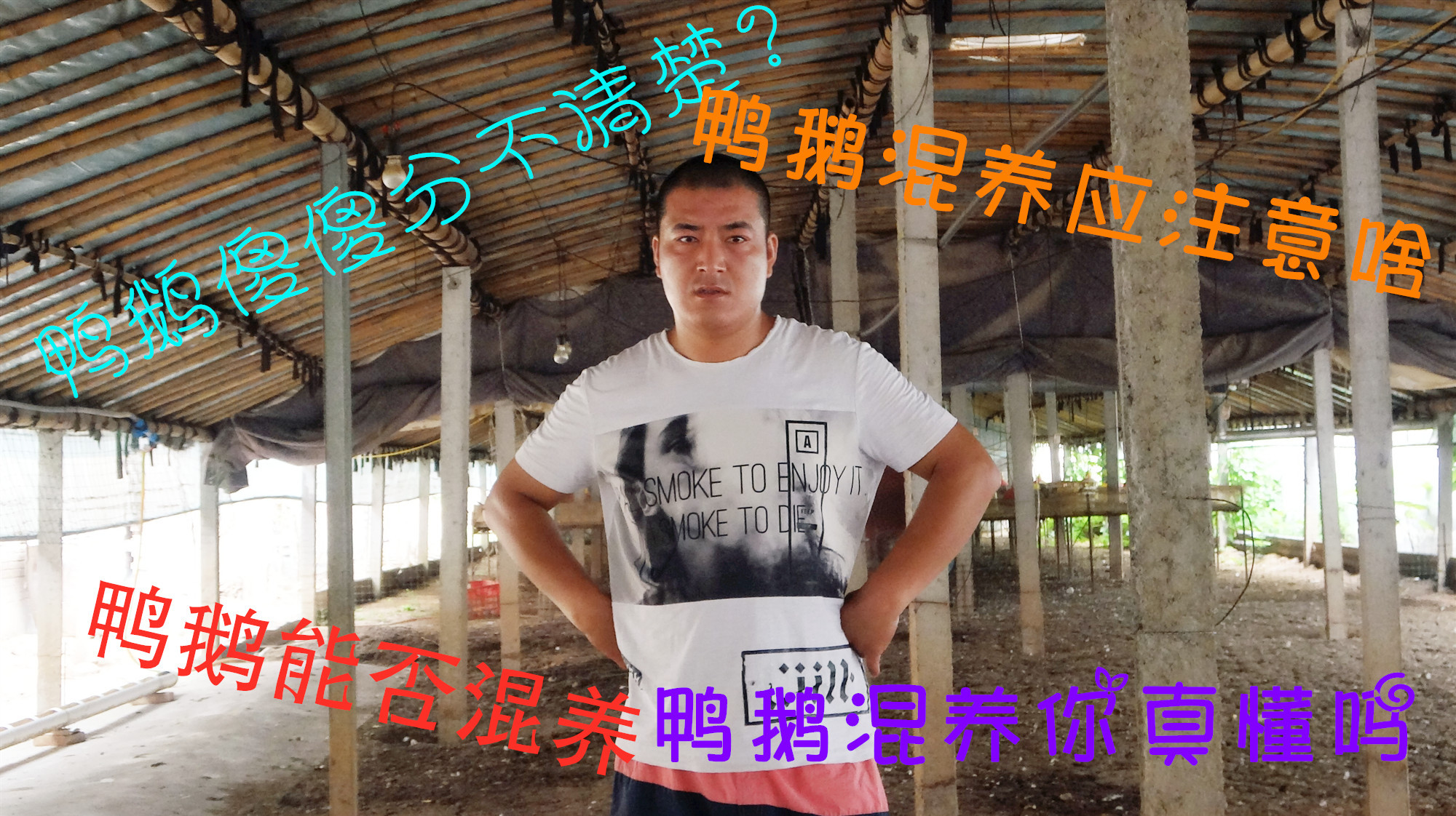 养鹅与养鸭有哪些不同,鸭鹅饲料能共用吗?