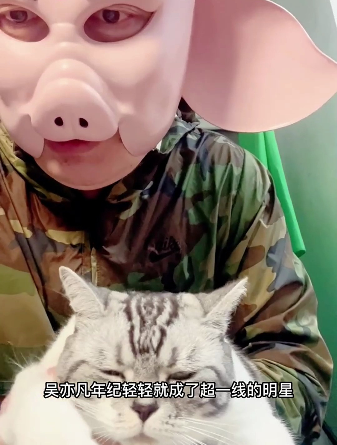 猪八戒疯狂练腹肌