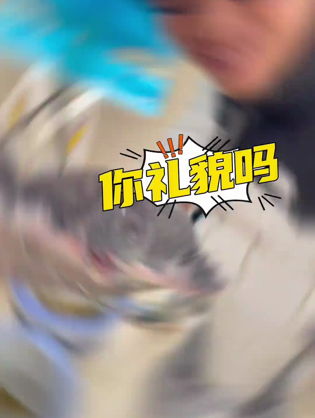 元银甲甲鱼烧牛蛙