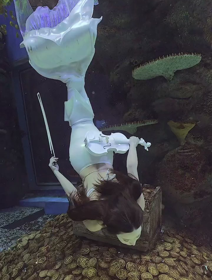水下摄影人鱼Bin 大鱼小提琴