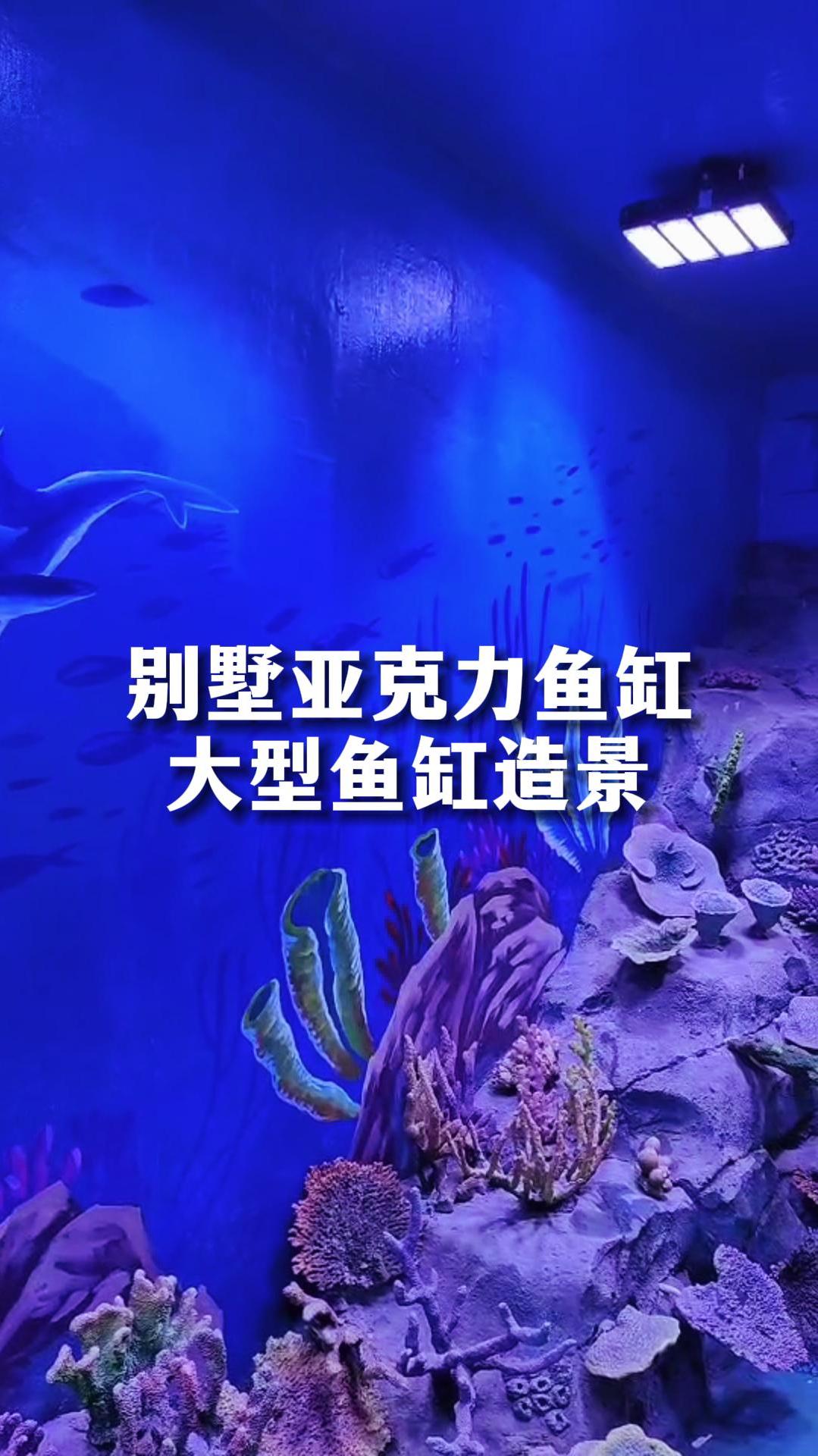 别墅鱼缸造景,壁画加仿真珊瑚展现海底世界绚丽多姿