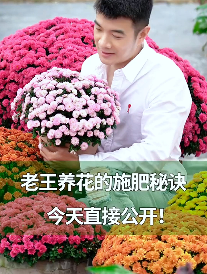 为何养花高手都爱用它?实验证明“固体鸡尾酒”确实值得“被爱”