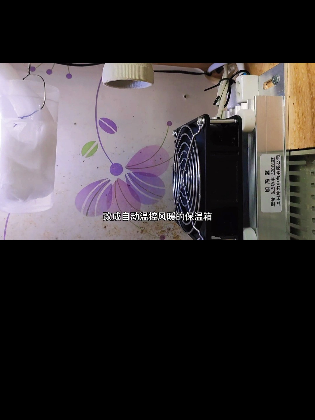 手养鹦鹉雏鸟的保温箱加热灯容易烫伤 改装风暖电脑温控的好多了