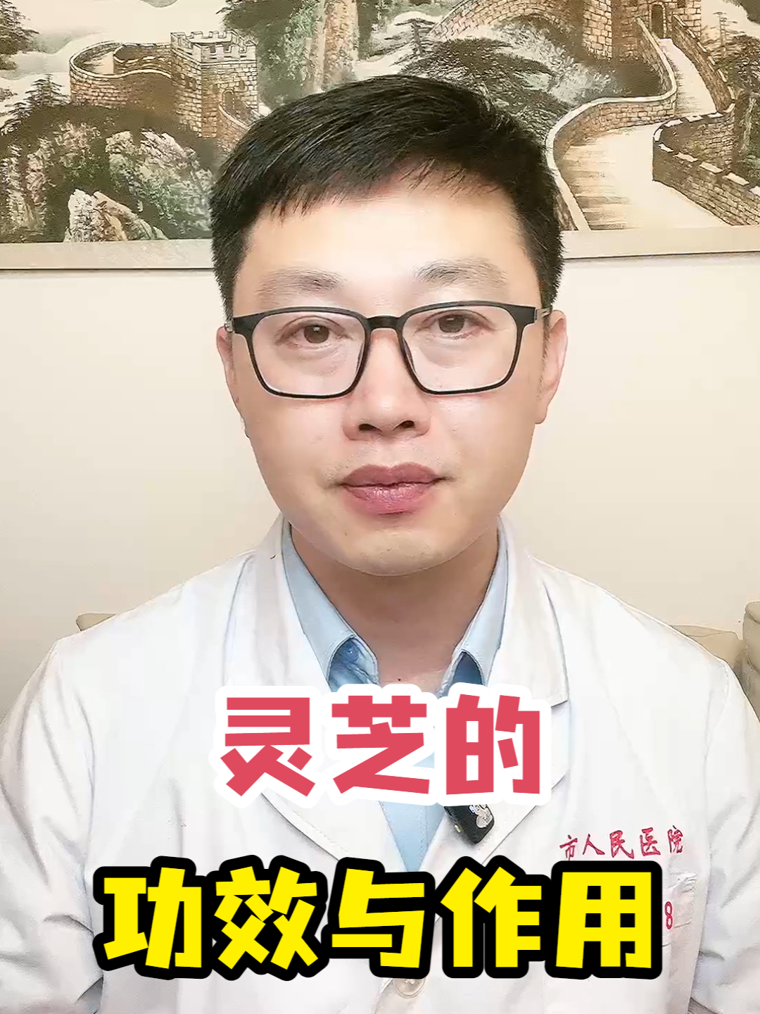 灵芝的功效与作用