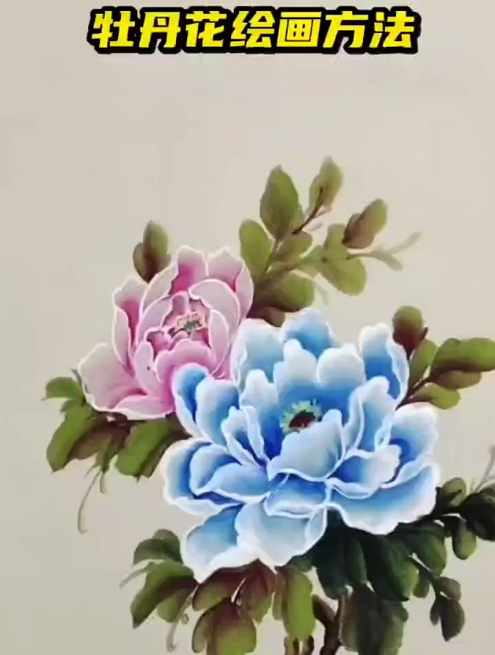牡丹花绘画方法来啦