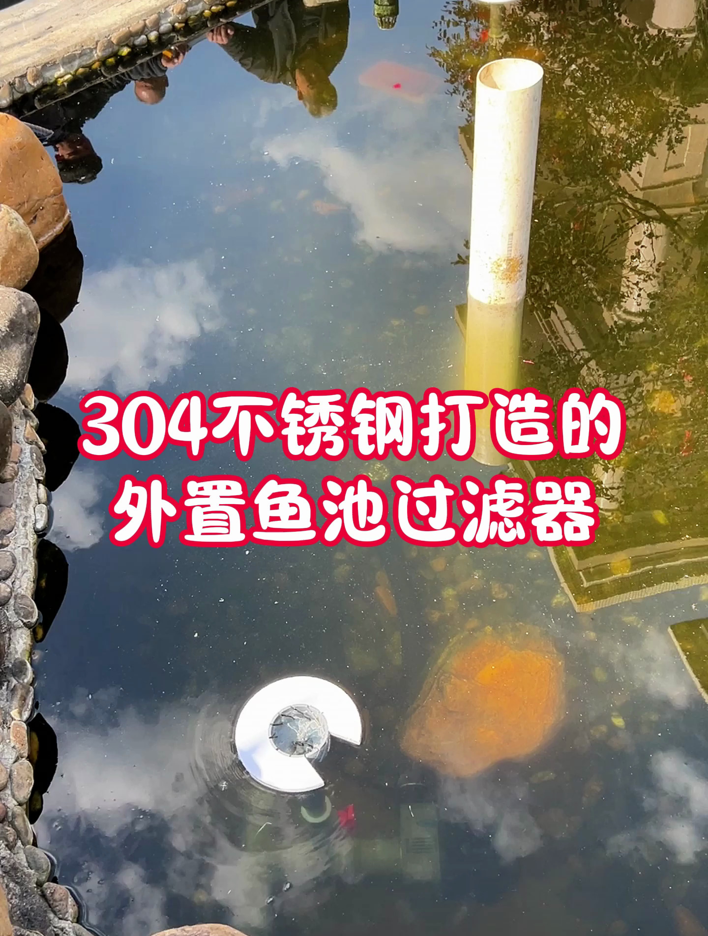 外置鱼池过滤器为什么更受欢迎了?因为它真的是很适合家用