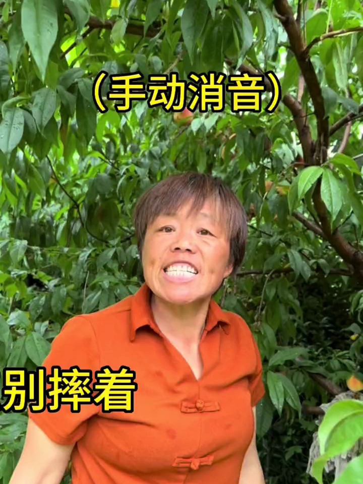 老妈自制黄桃罐头好吃