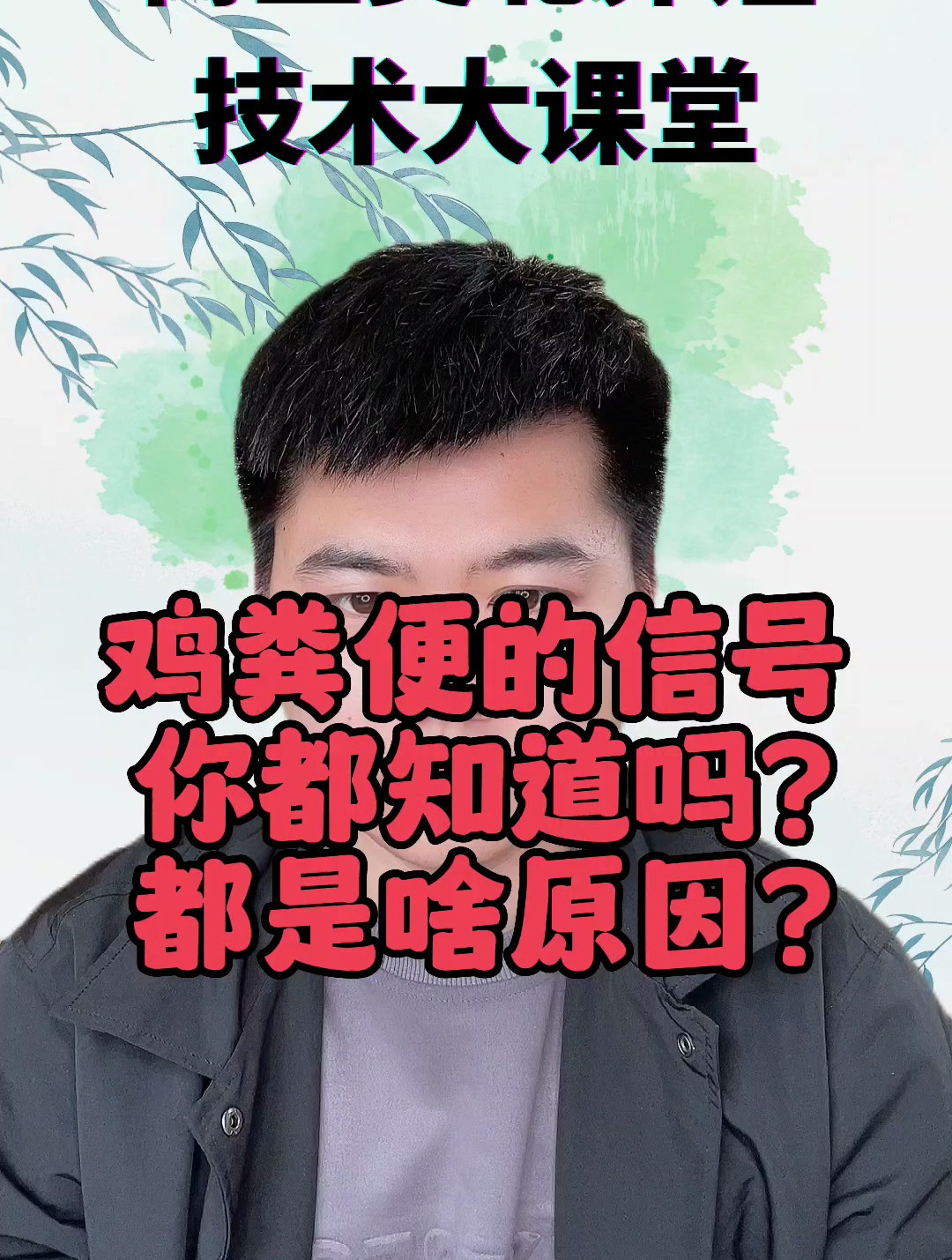 鸡粪便表现的症状 不健康的小鸡粪便 小鸡拉屎异常是什么样的