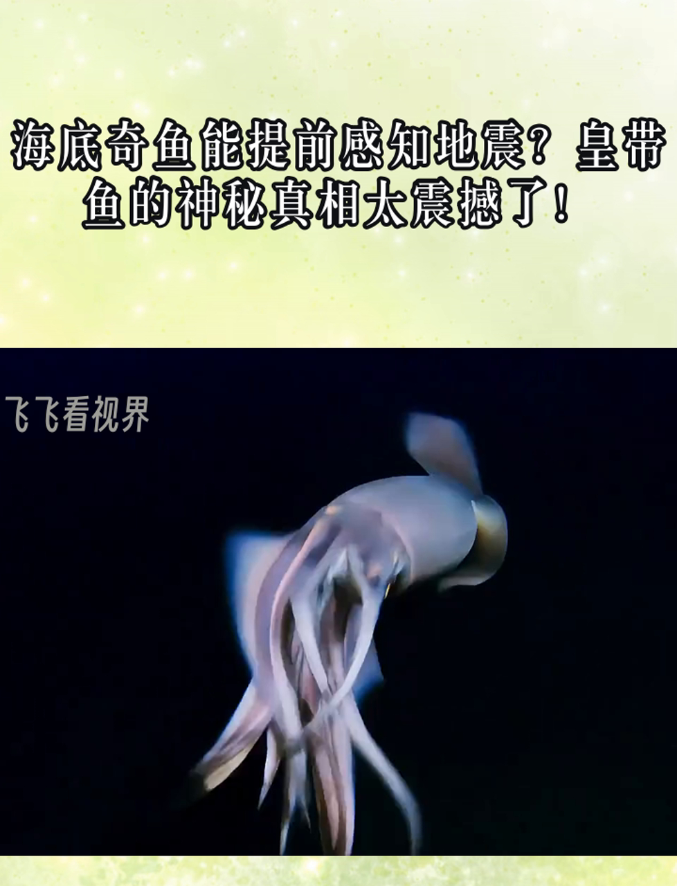 海底奇鱼能提前感知地震?皇带鱼的神秘真相太震撼了!