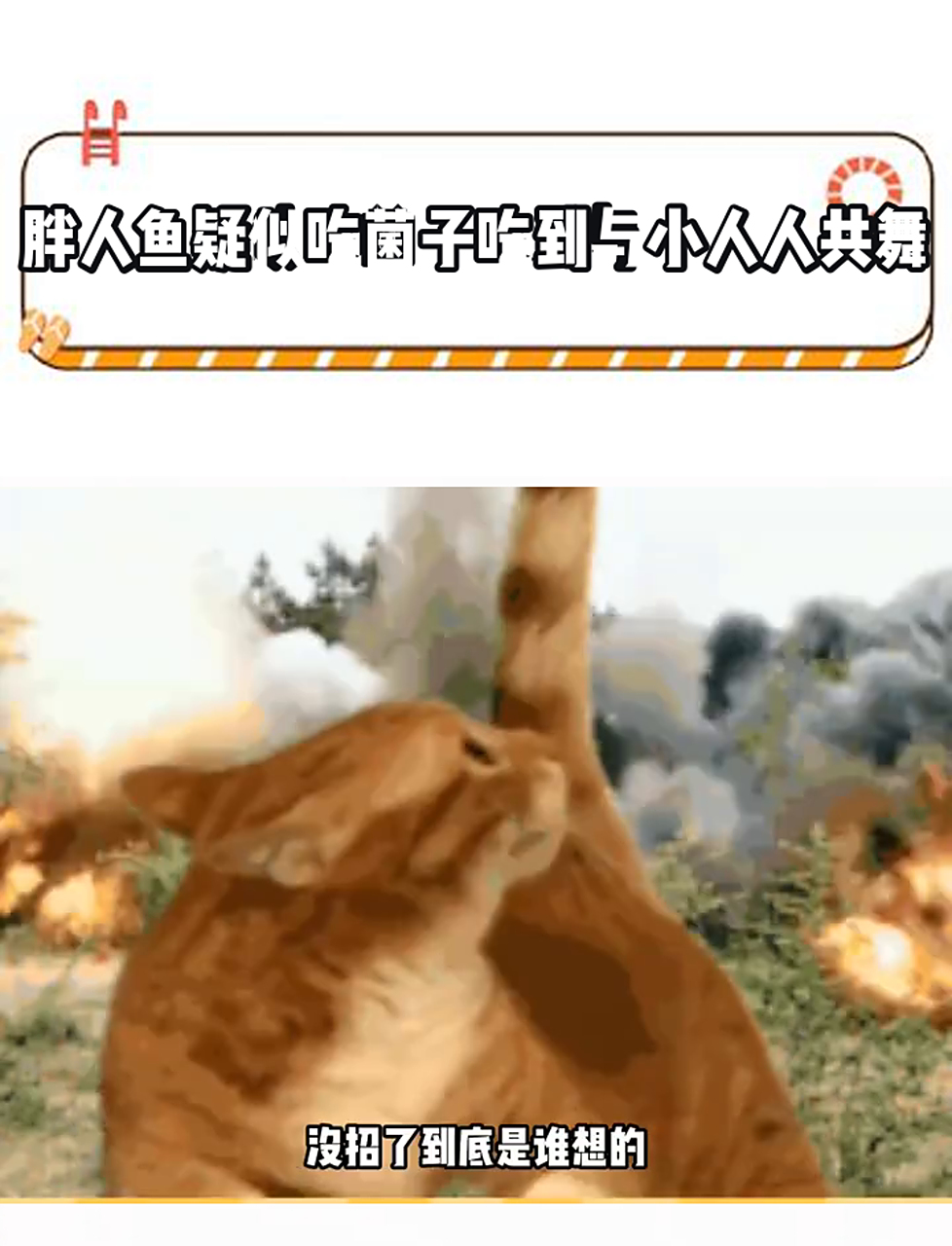 胖人鱼疑似吃菌子吃到与小人人共舞