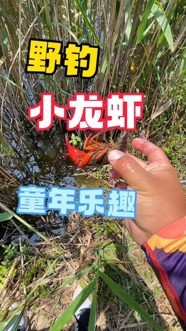 居然还能钓小龙虾
