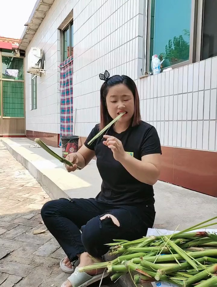 谁被它剌破过?谁知道它的学名叫什么?