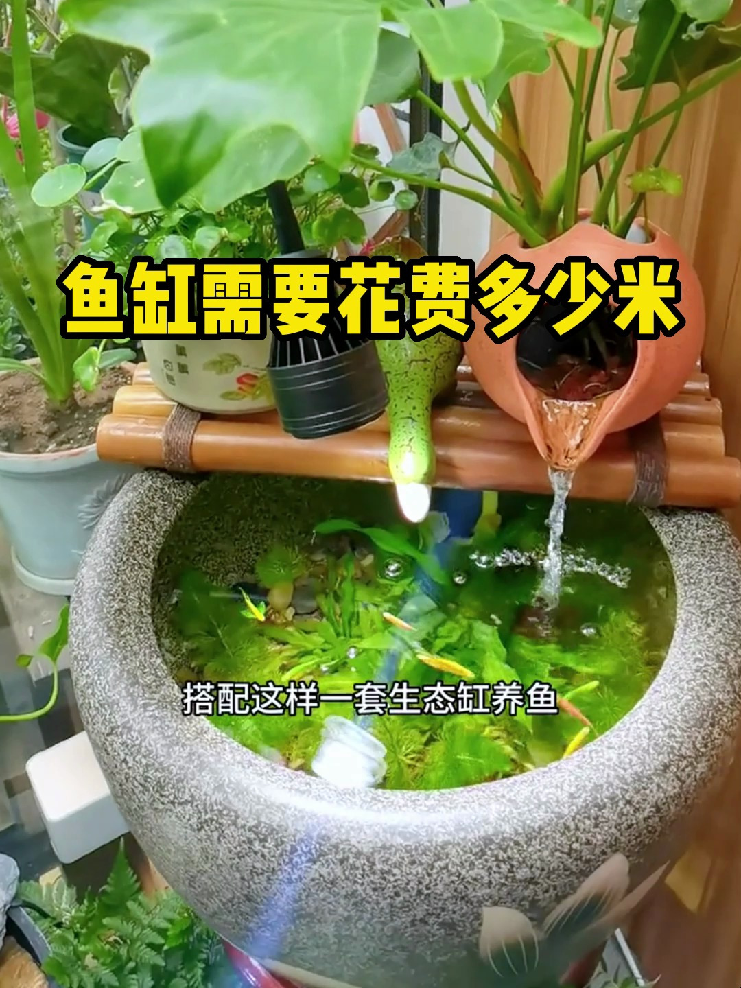 鱼缸需要花费多少米?我今天来帮你算算!