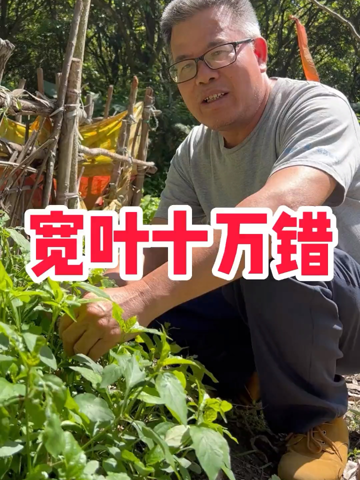 一种很好吃的野菜,一个很好听的名字
